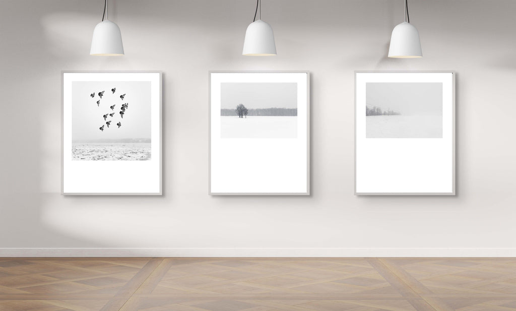 Winter # 002, Québec, Canada, 2016