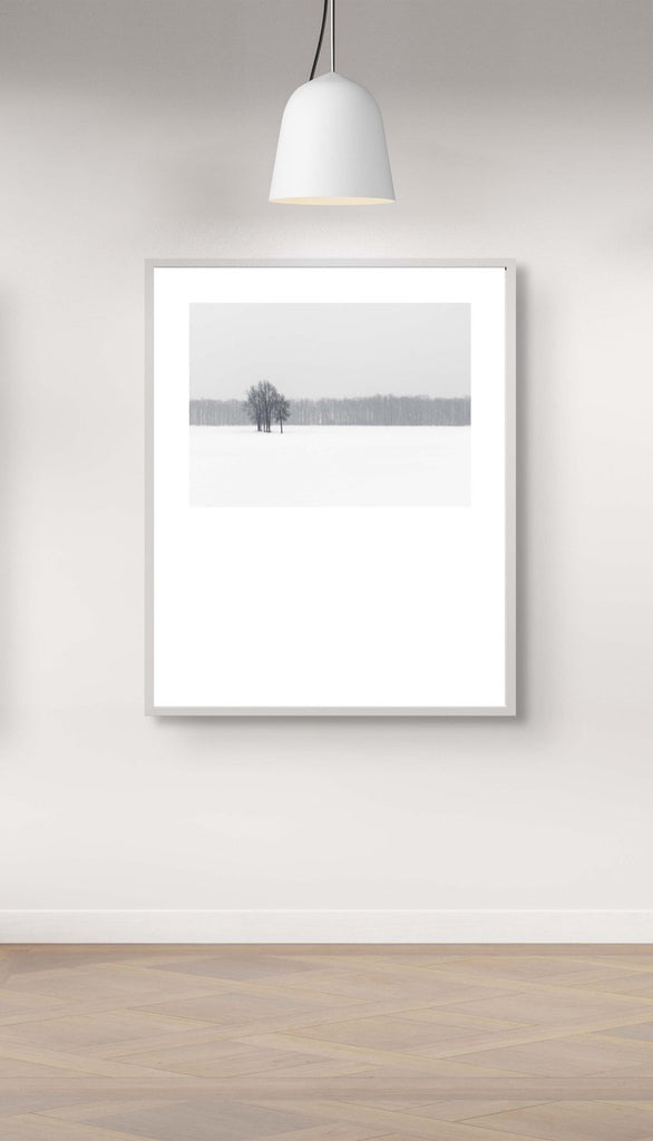 Winter # 002, Québec, Canada, 2016