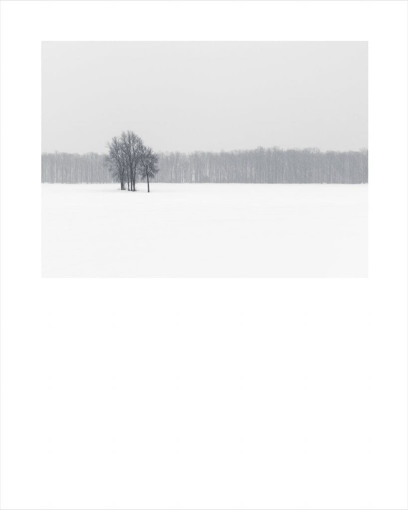 Winter # 002, Québec, Canada, 2016 | Limited Edition Archival Photograph | © 2020 Martine Côté | martinecote.com 