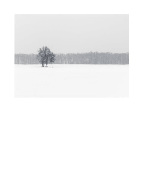 Winter # 002, Québec, Canada, 2016 | Limited Edition Archival Photograph | © 2020 Martine Côté | martinecote.com 