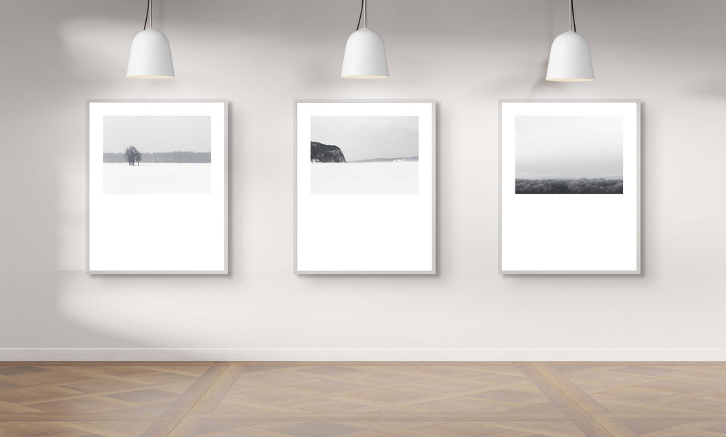 Winter # 003, Québec, Canada, 2016