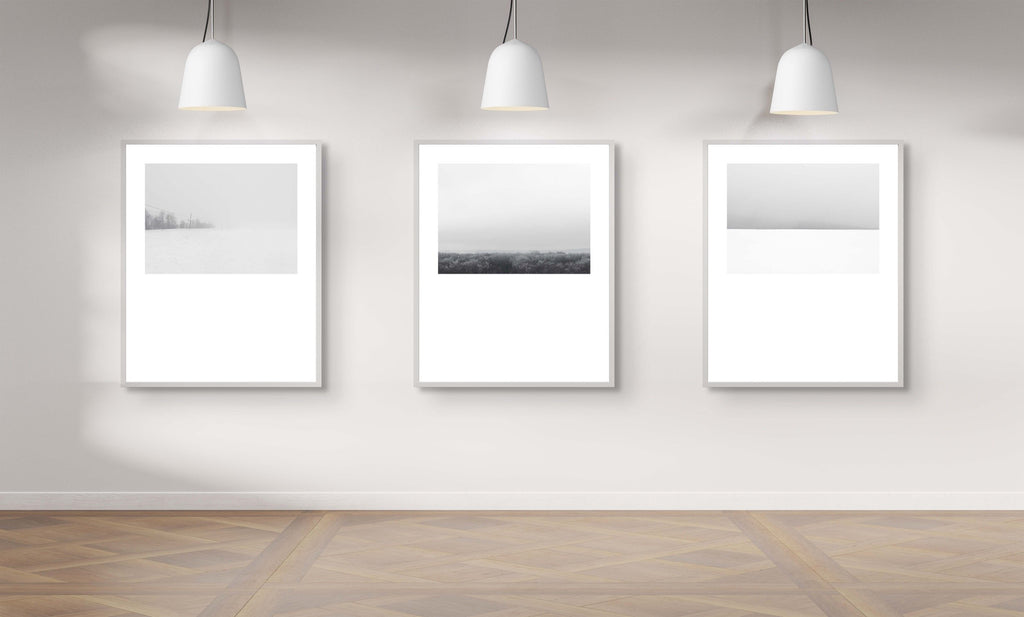 Winter # 004, Québec, Canada, 2016