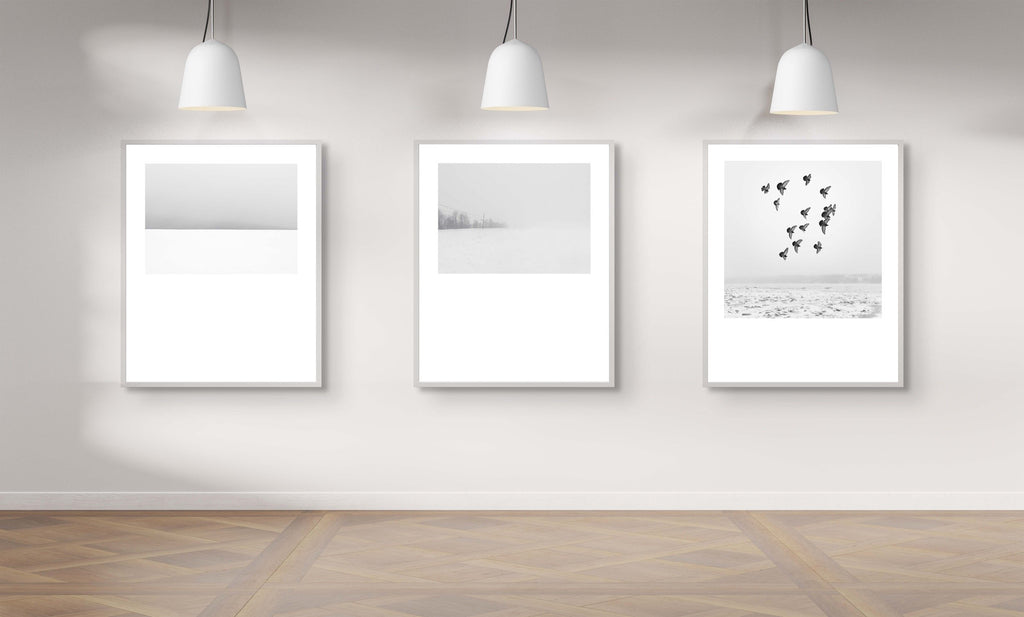 Winter # 005, Québec, Canada, 2016