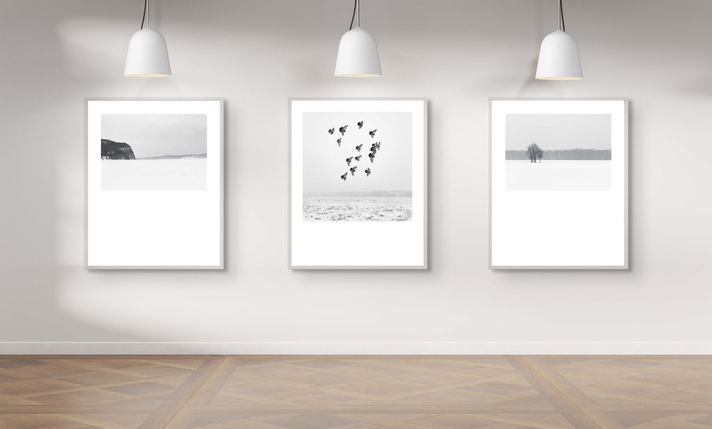 Winter # 006, Québec, Canada, 2016