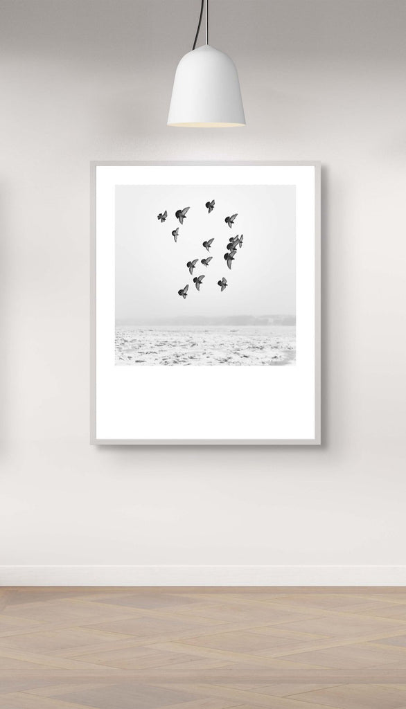 Winter # 006, Québec, Canada, 2016