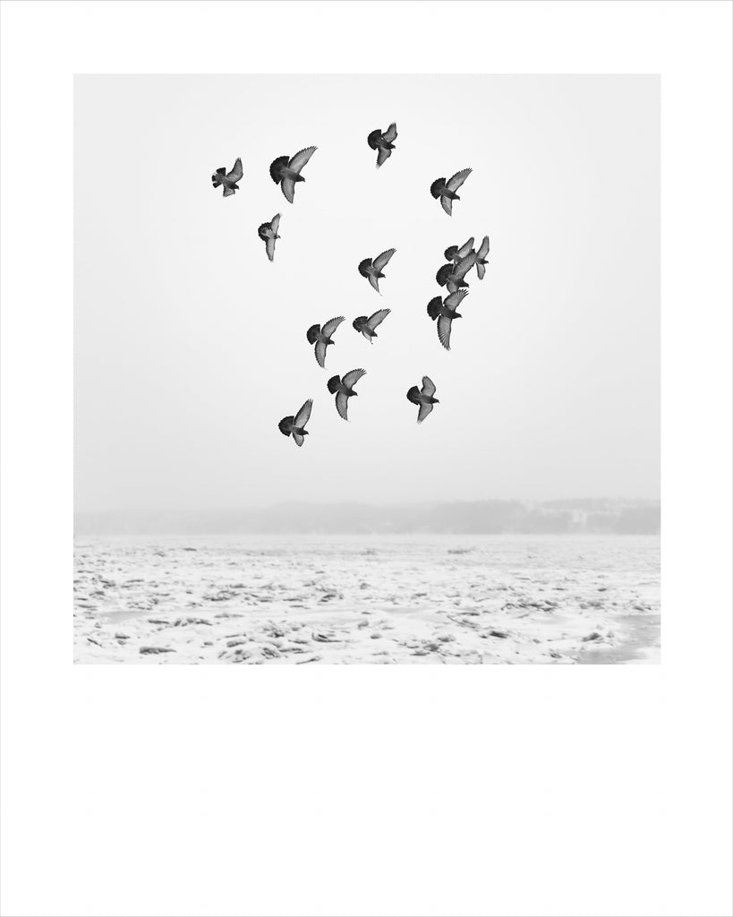 Winter # 006, Québec, Canada, 2016 | Limited Edition Archival Photograph | © 2020 Martine Côté | martinecote.com 