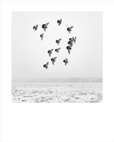 Winter # 006, Québec, Canada, 2016 | Limited Edition Archival Photograph | © 2020 Martine Côté | martinecote.com 