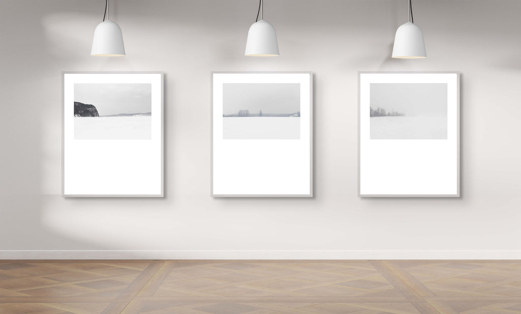 Winter # 007, Ontario, Canada, 2018