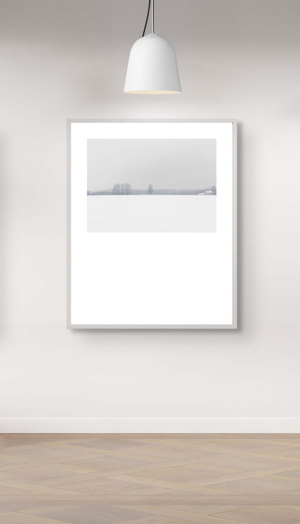 Winter # 007, Ontario, Canada, 2018