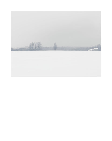 Winter # 007, Ontario, Canada, 2018