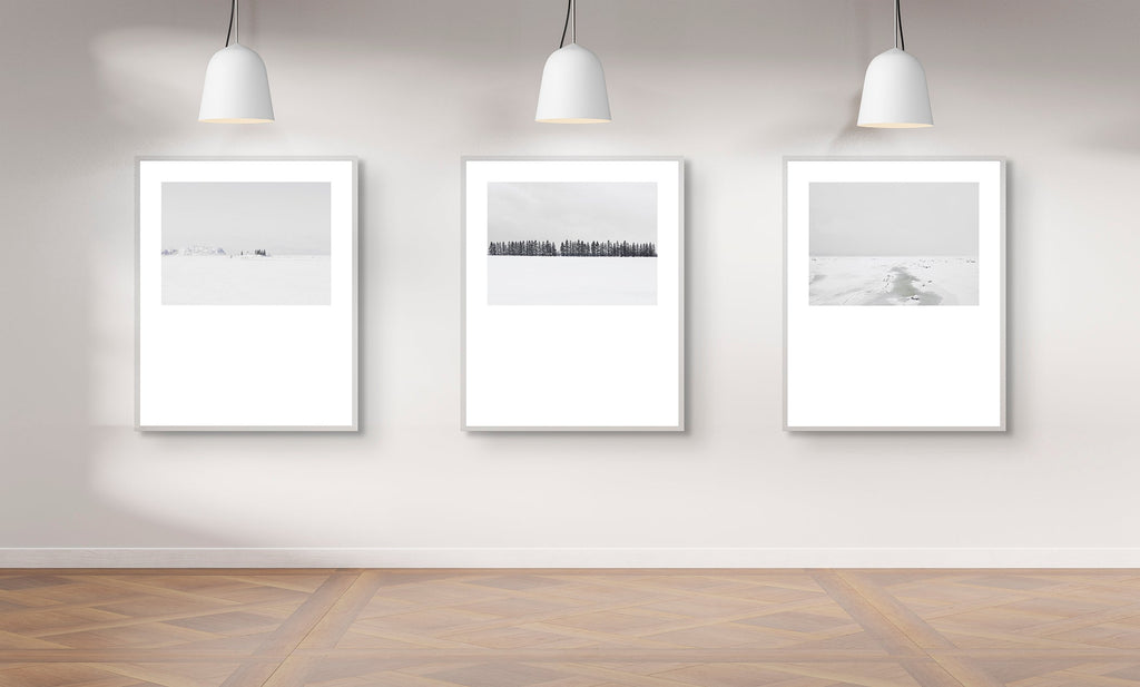 Winter # 008, Kamouraska, Québec, Canada, 2022