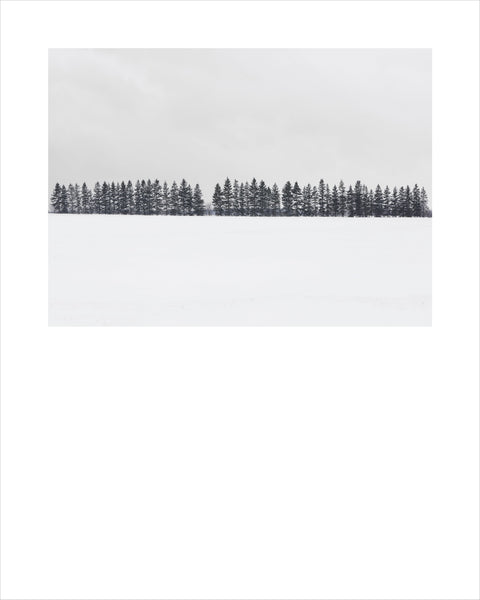 Winter # 009, Kamouraska, Québec, Canada, 2022